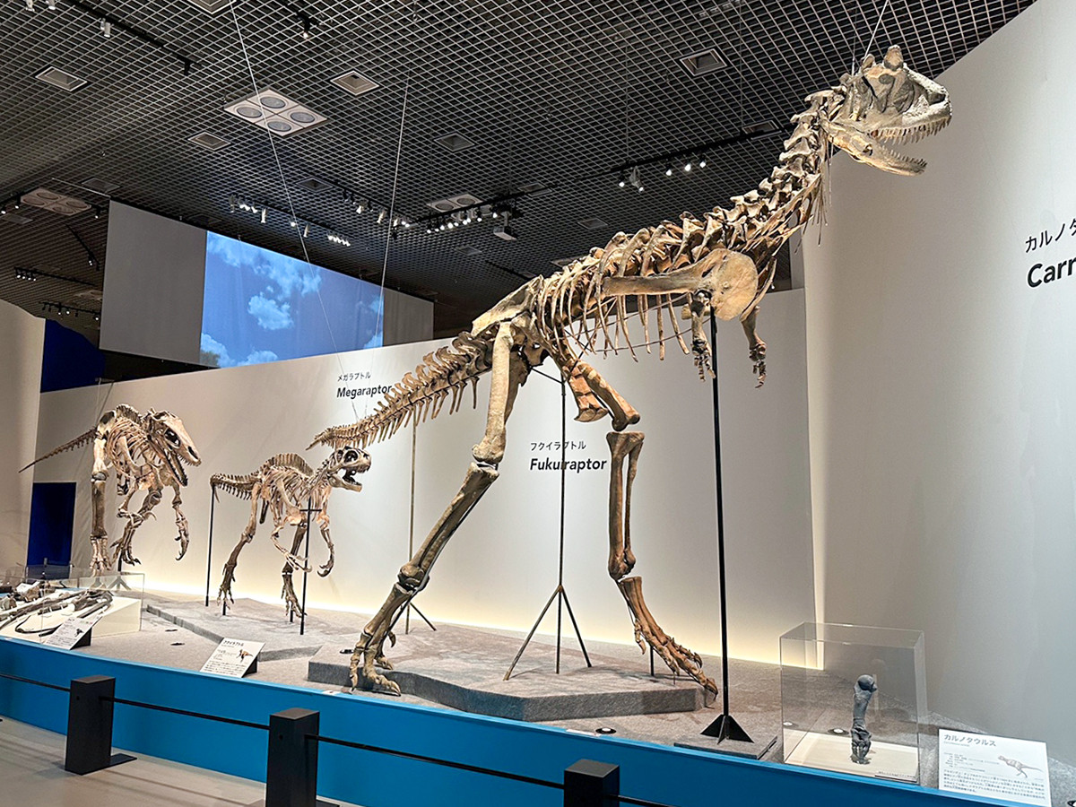 国立科学博物館「恐竜博2023」会場