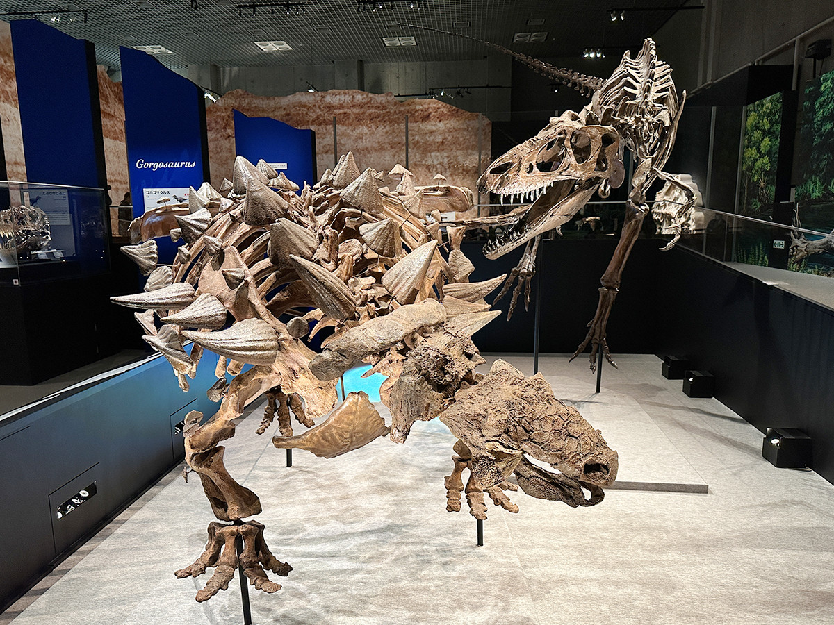 国立科学博物館「恐竜博2023」会場より　ゴルゴサウルスとズールの戦い