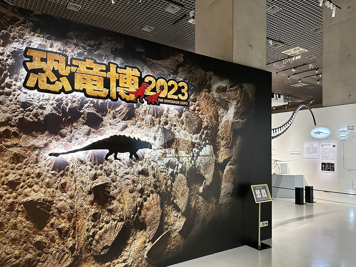 国立科学博物館「恐竜博2023」会場入口