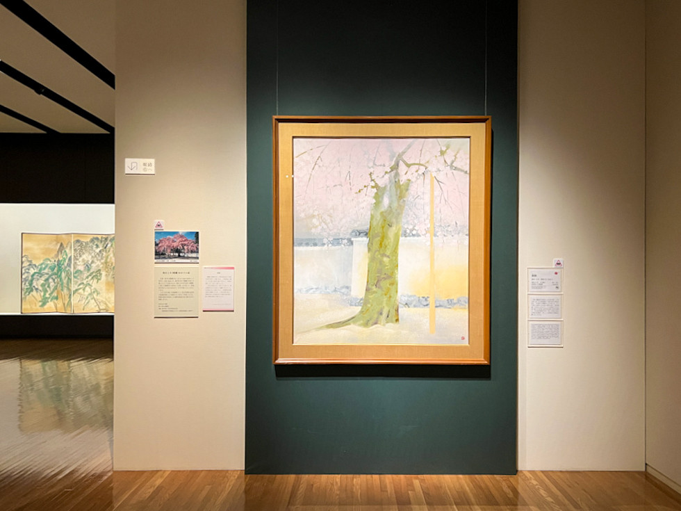 山種美術館「富士と桜 ― 北斎の富士から土牛の桜まで ―」会場