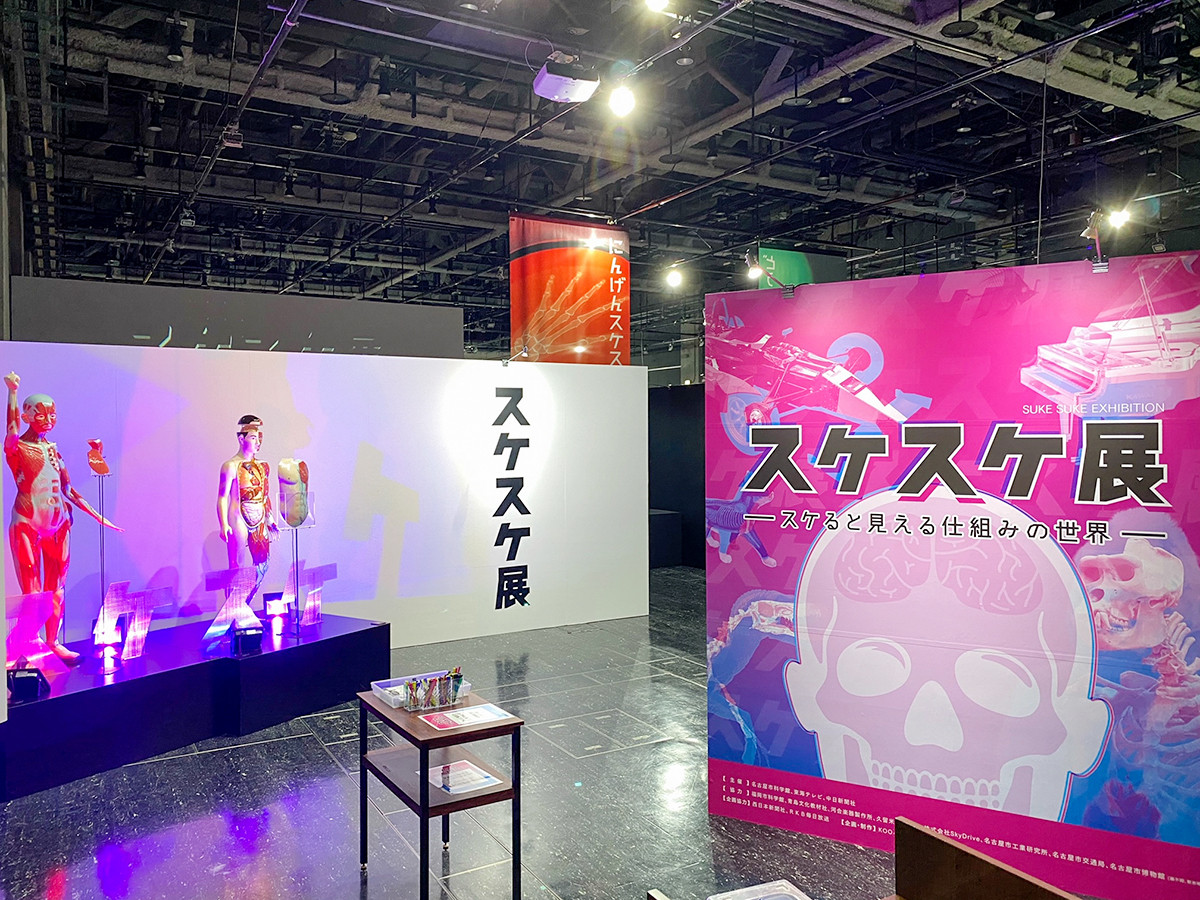 名古屋市科学館「スケスケ展」会場