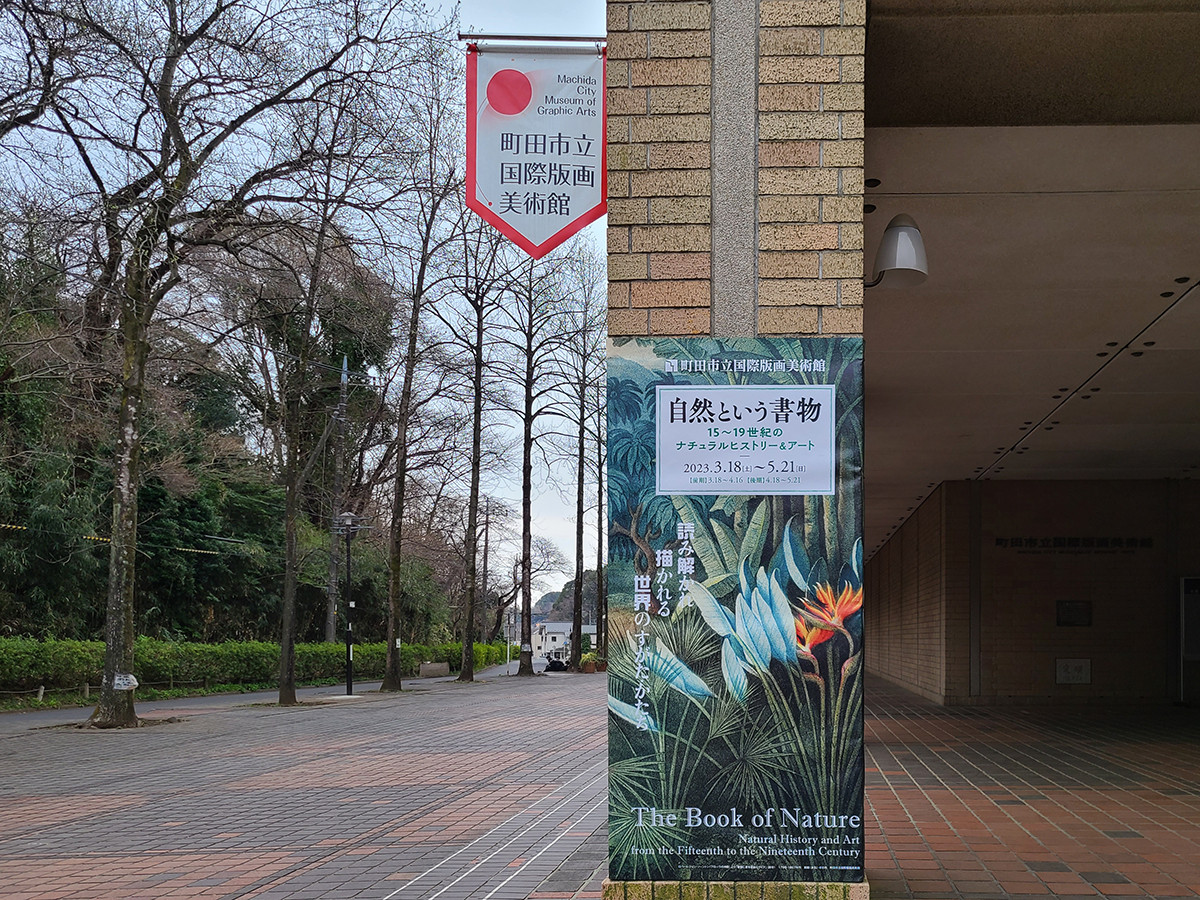 町田市立国際版画美術館 外観