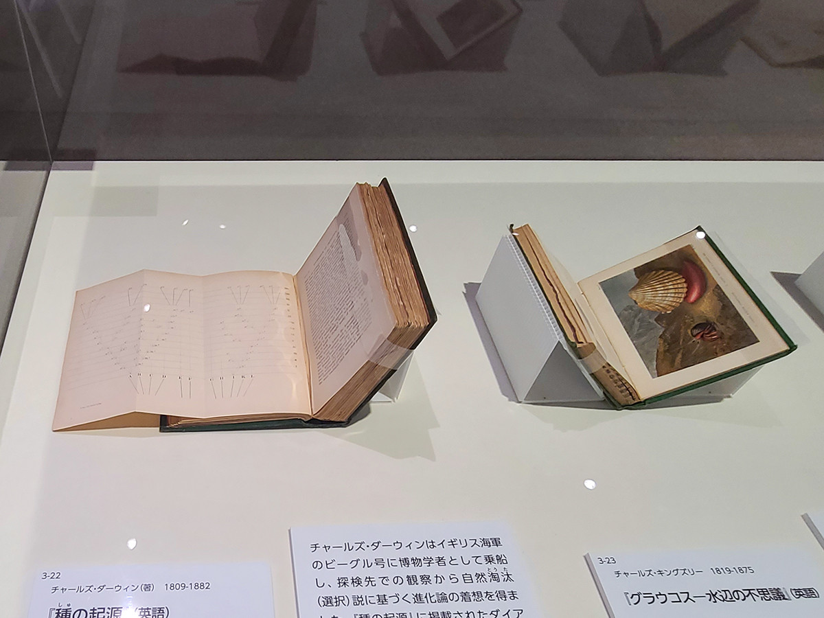 チャールズ・ダーウィン（著）『種の起源』（英語）1859年　リトグラフ　東京薬科大学