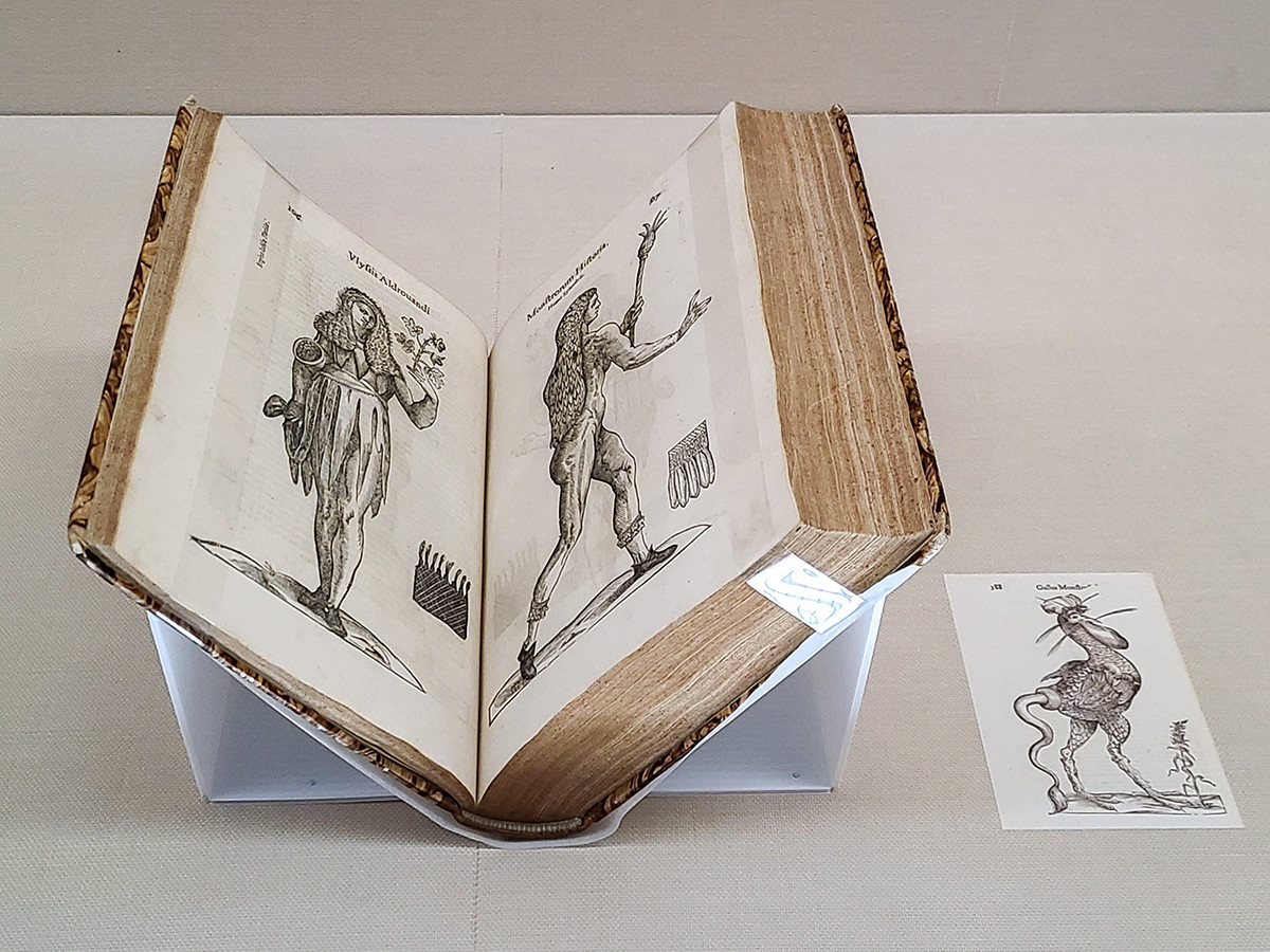 ウリッセ・アｒドロヴァンディ（著）『怪物誌』（ラテン語）1642年　木版　慶応義塾図書館