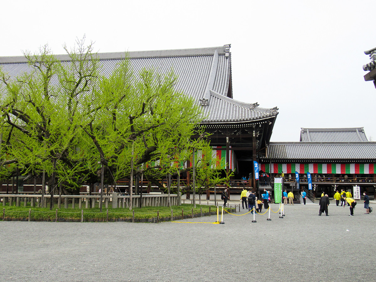 全国からの参拝者が集う西本願寺