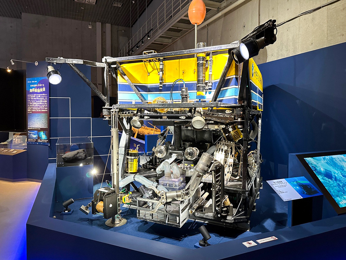 国立科学博物館「海　―生命のみなもと―」会場