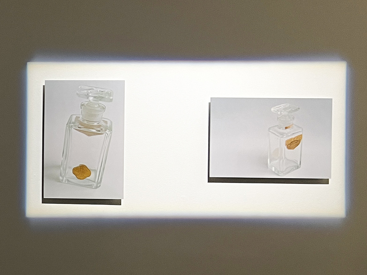 資生堂ギャラリー「石内都　初めての東京は銀座だった」会場