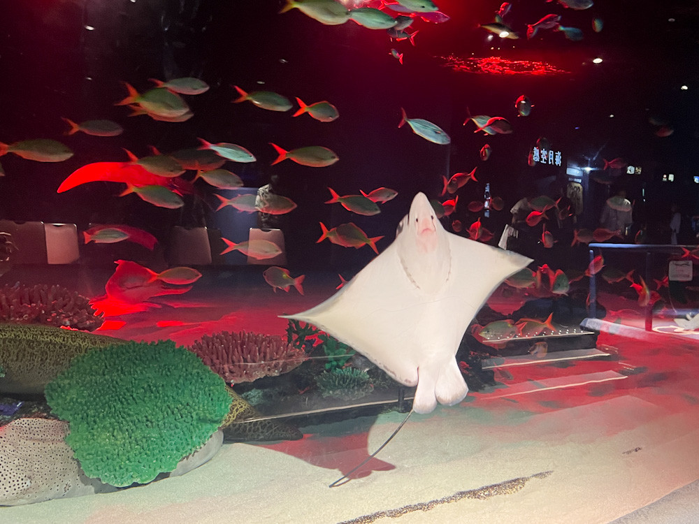 サンシャイン水族館 夜間特別営業「TERROR Night Aquarium」会場