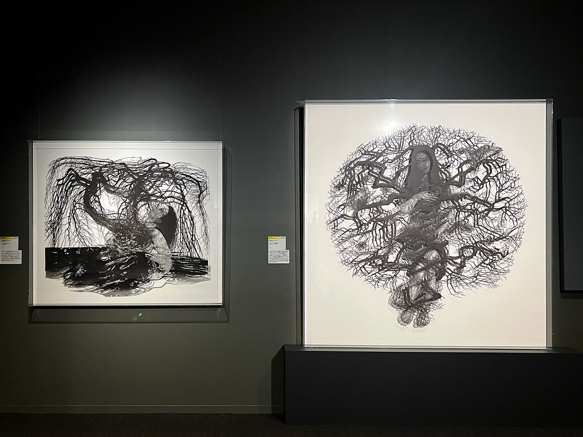 盛田亜耶《ヴィーナスの誕生II》2022年