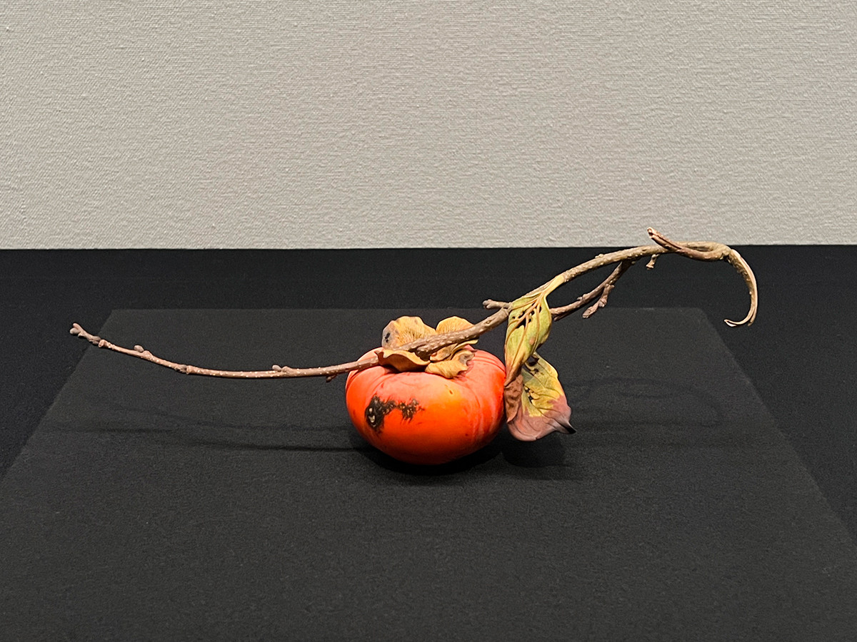 岩崎努《嘉来（柿）》2019年