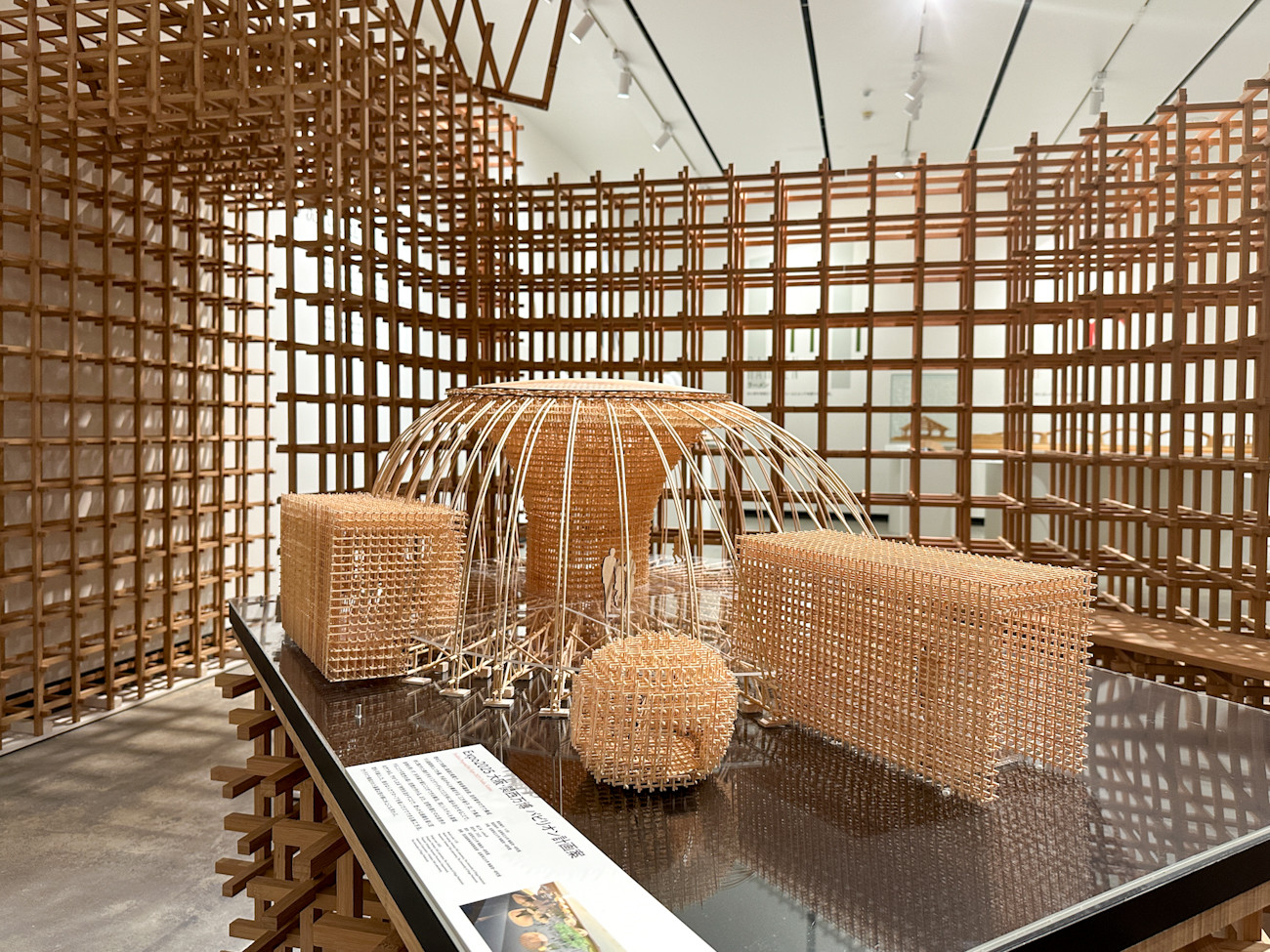 WHAT MUSEUM「感覚する構造 - 力の流れをデザインする建築構造の世界 -」会場