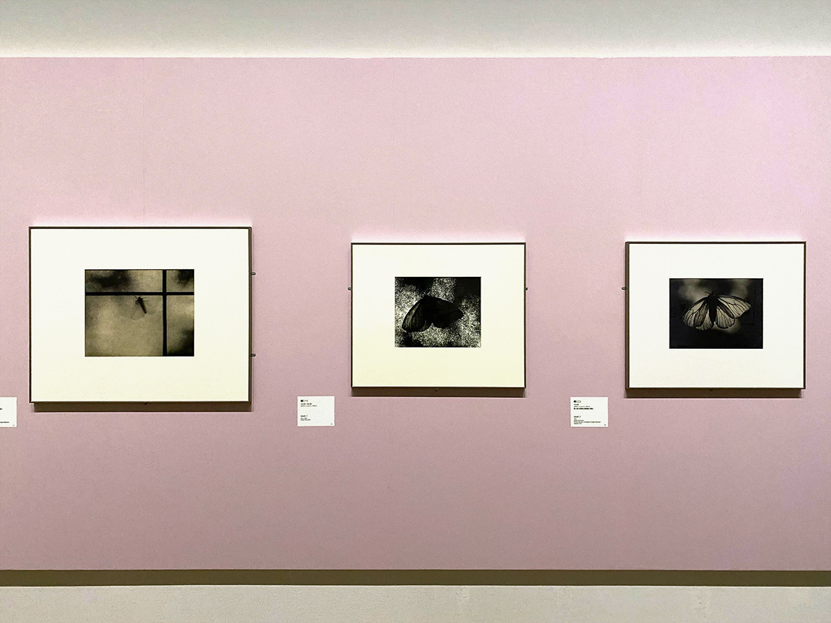 愛知県美術館「生誕120年　安井仲治」会場