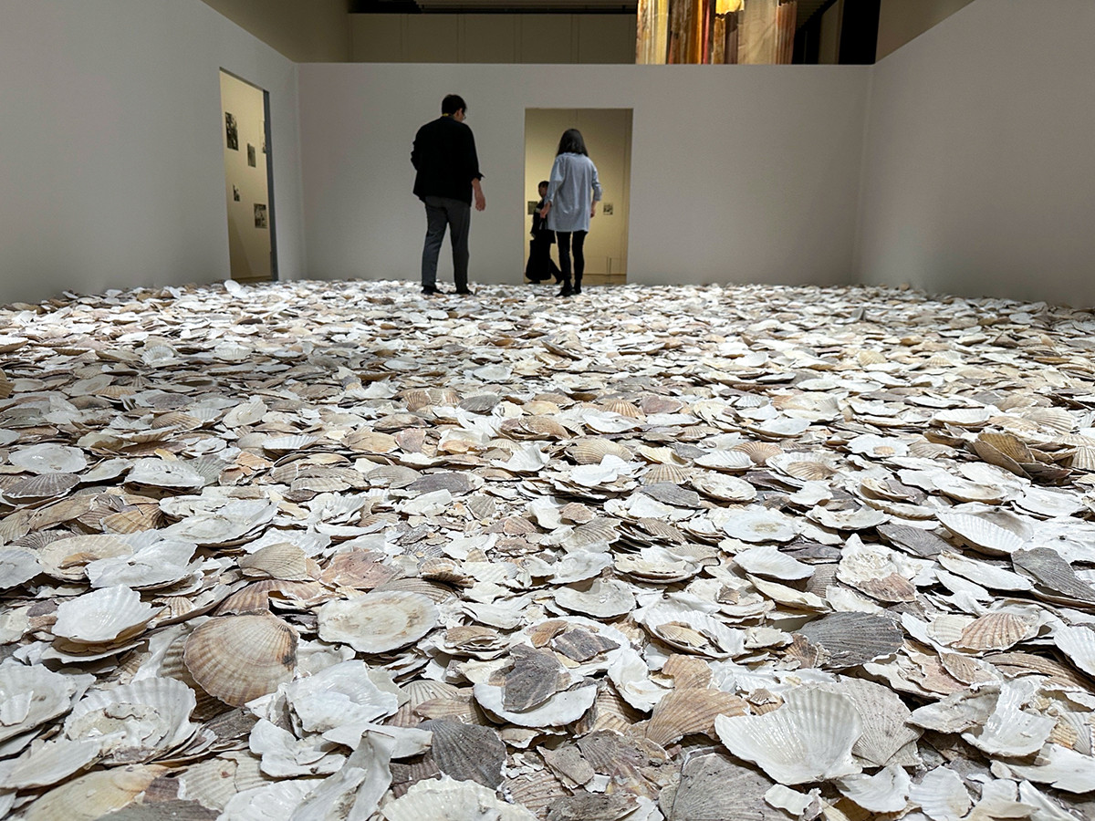 森美術館「私たちのエコロジー：地球という惑星を生きるために」会場