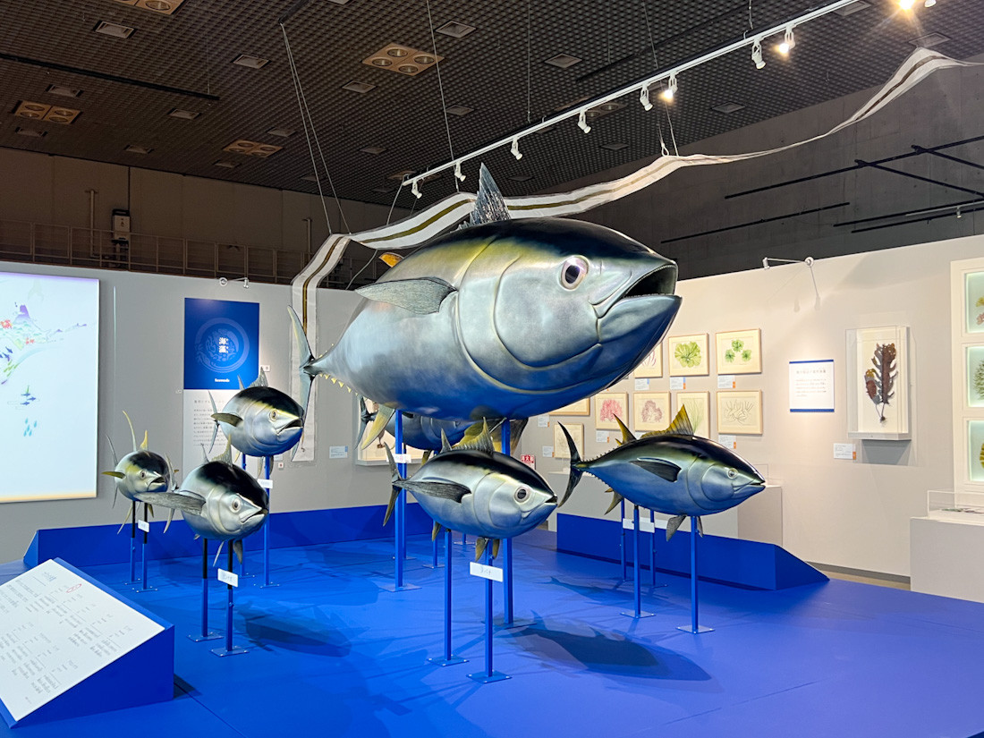 国立科学博物館　特別展「和食 ～日本の自然、人々の知恵～」会場