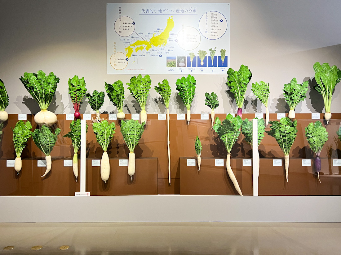 国立科学博物館　特別展「和食 ～日本の自然、人々の知恵～」会場