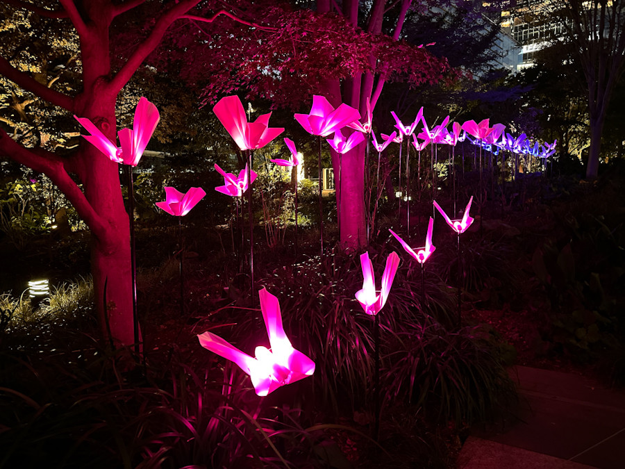 「TORANOMON LIGHT ART」会場より Aether & Hemera《On the Wings of Freedom》(イタリア)