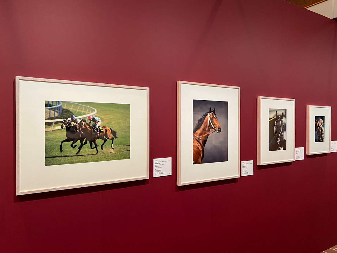 東京都美術館「いのちをうつす ―菌類、植物、動物、人間」会場