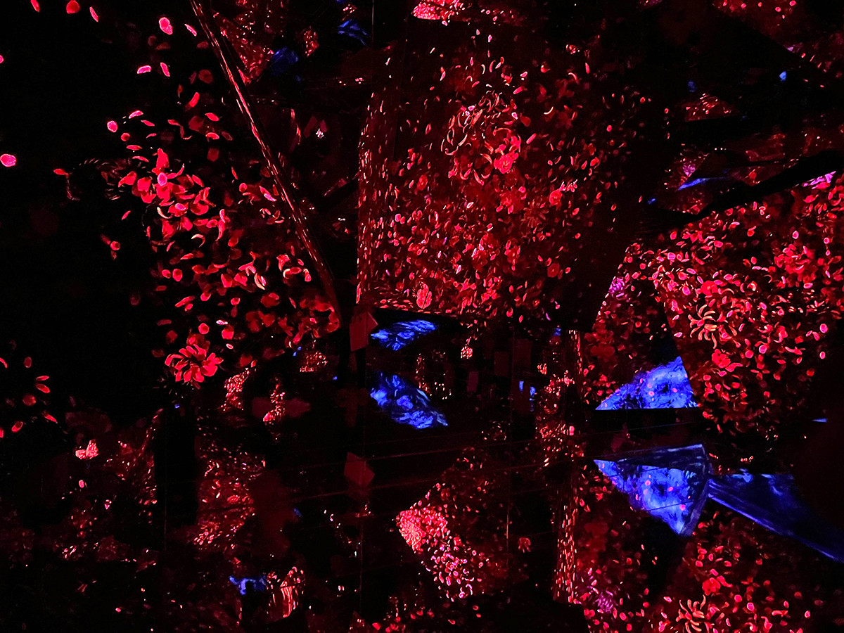 麻布台ヒルズの「チームラボボーダレス」より 《Megalith Crystal Formation》