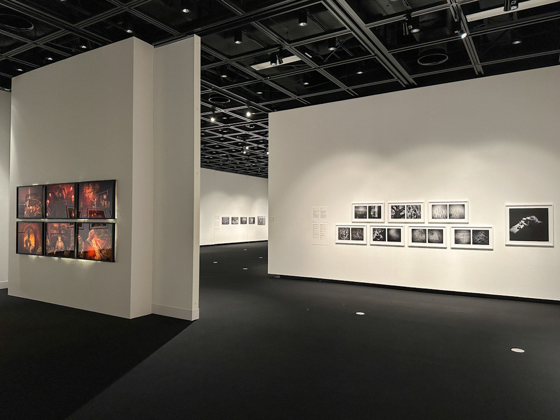 東京都写真美術館「プリピクテ Human/人間」 会場