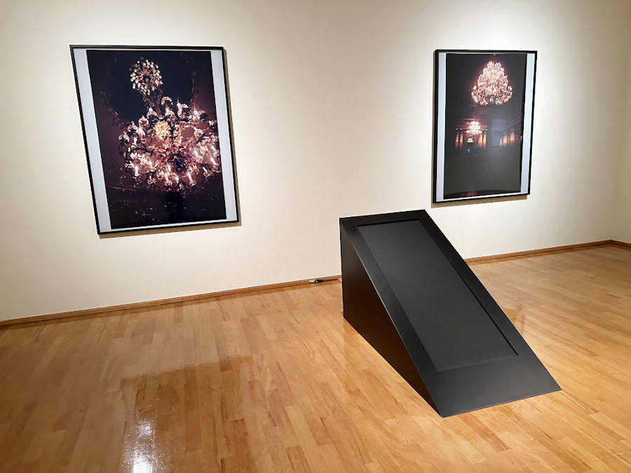 府中市美術館「白井美穂 森の空き地」会場