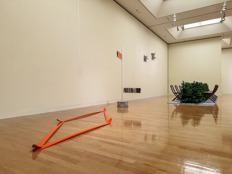 府中市美術館「白井美穂 森の空き地」会場