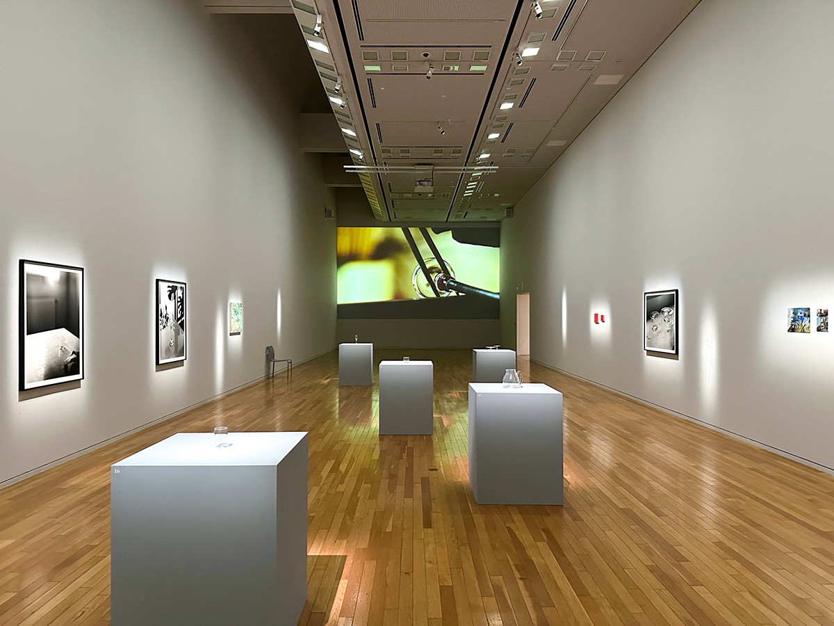 東京オペラシティ アートギャラリー「ガラスの器と静物画 山野アンダーソン陽子と18人の画家」会場