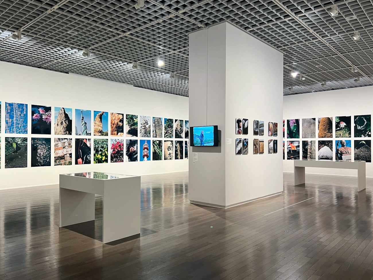  東京国立近代美術館「中平卓馬　火―氾濫」会場