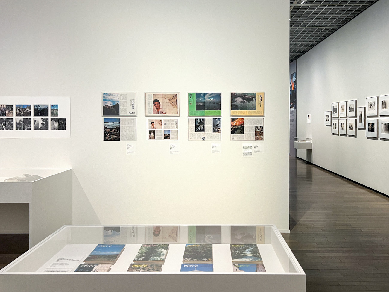  東京国立近代美術館「中平卓馬　火―氾濫」会場