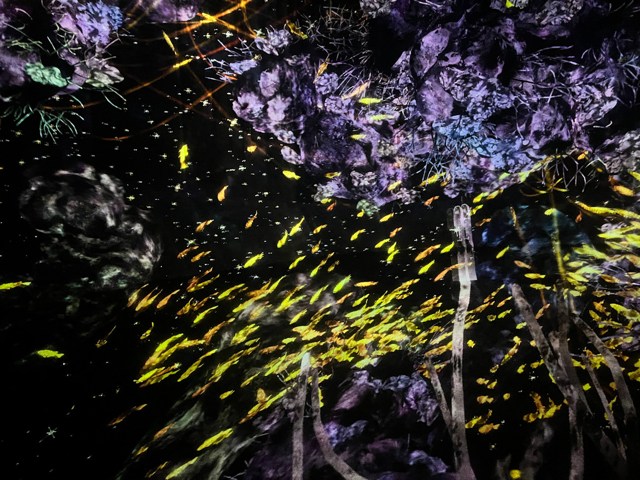 麻布台ヒルズ ガーデンプラザB エプソン チームラボボーダレス 会場