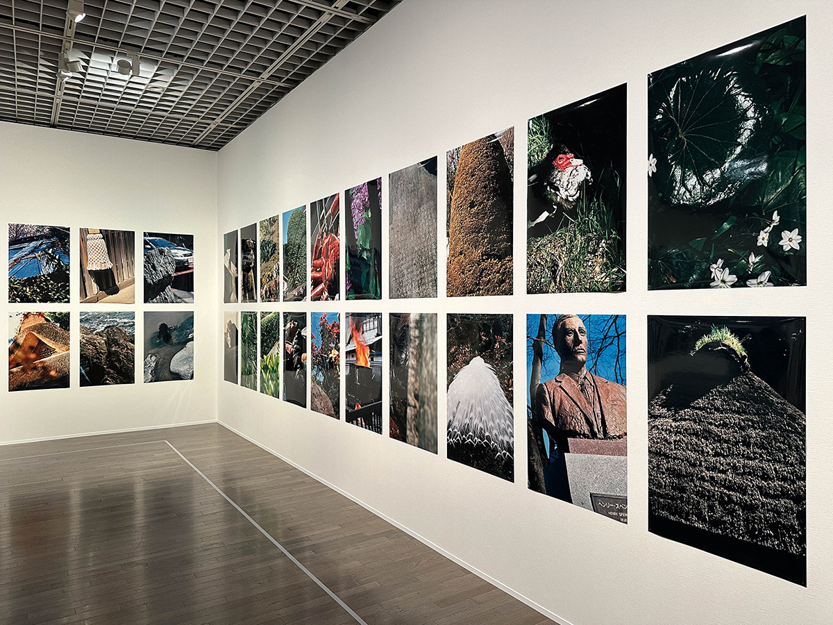 東京国立近代美術館「中平卓馬　火―氾濫」会場より　第5章「写真原点」　《キリカエ》【「キリカエ」展（2011年）出品作】2011年　東京国立近代美術館