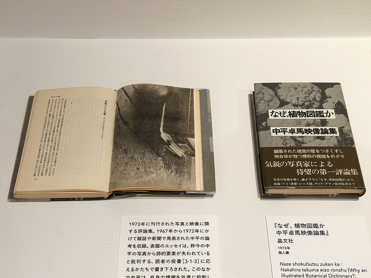 東京国立近代美術館「中平卓馬 火―氾濫」会場より 第3章「植物図鑑・氾濫」 『なぜ、植物図鑑か 中平卓馬映像論集』晶文社 1973年 個人蔵
