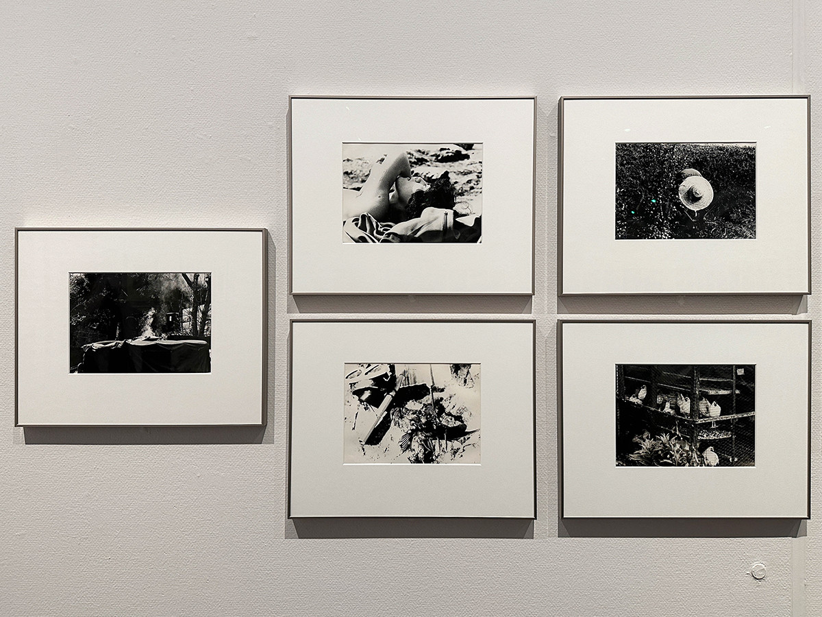 東京国立近代美術館「中平卓馬 火―氾濫」会場より 第5章「写真原点」 《新たなる凝視》1978-82年頃 中平元氏蔵