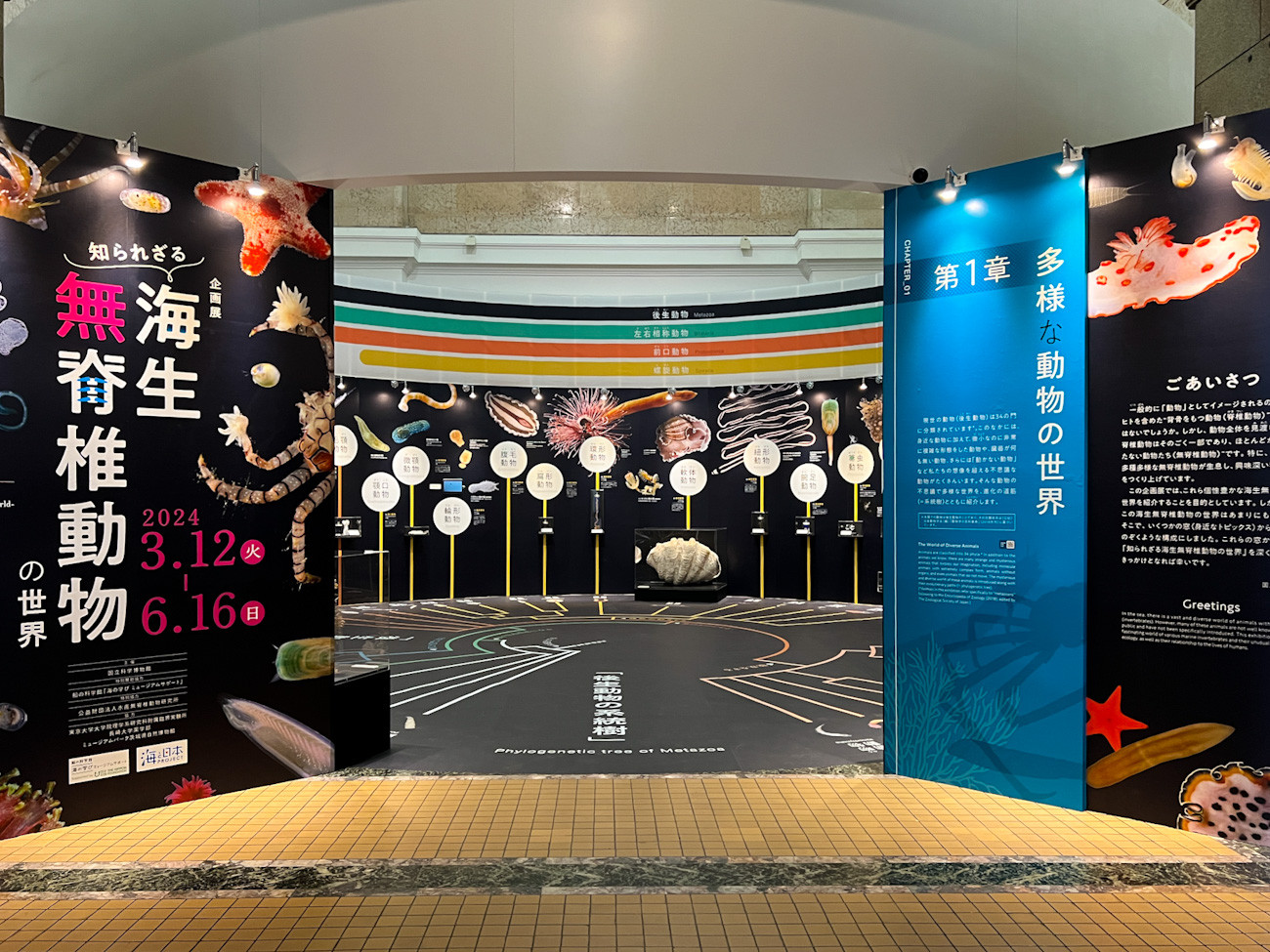  国立科学博物館 日本館1階 企画展「知られざる海生無脊椎動物の世界」会場