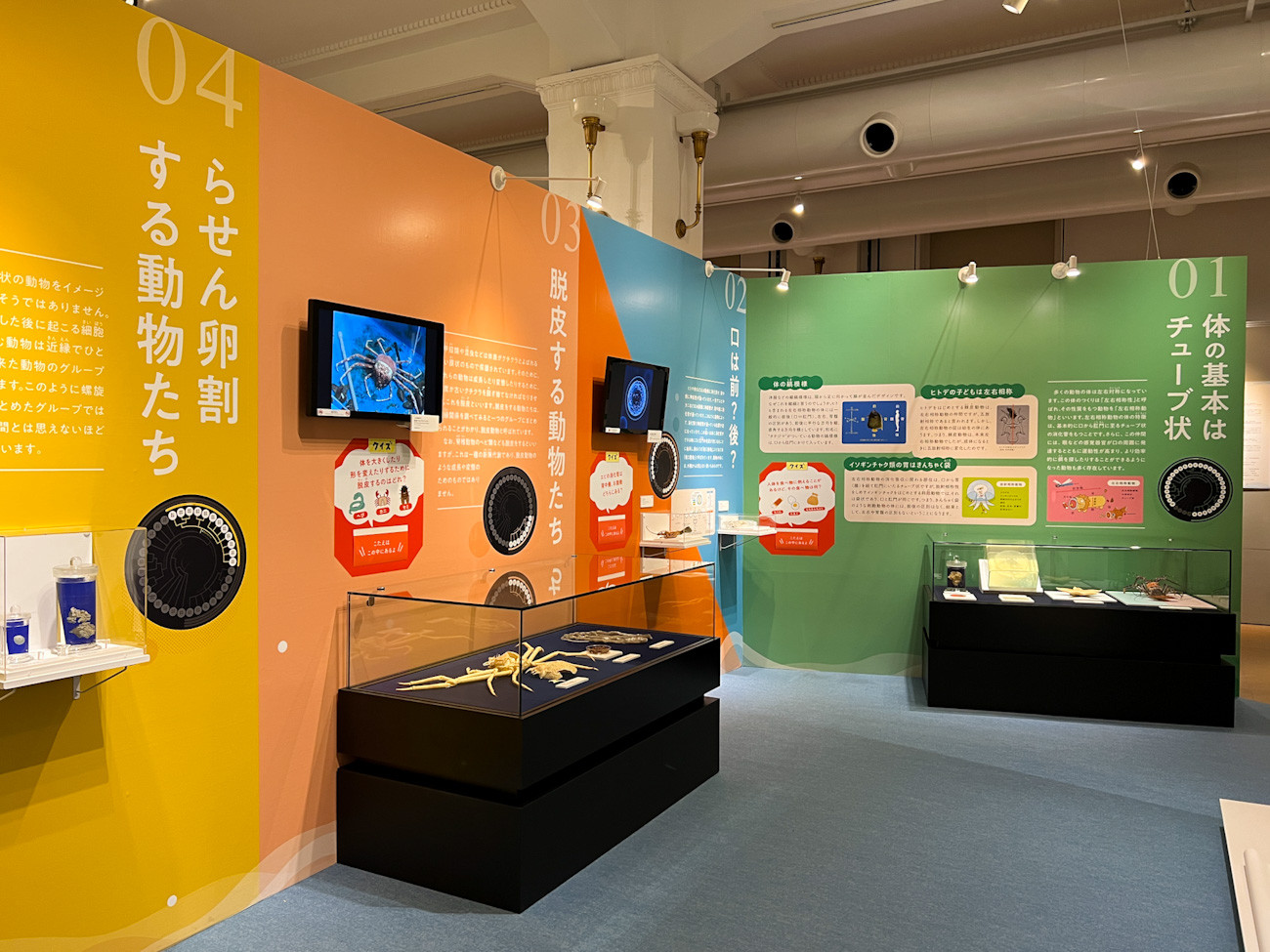  国立科学博物館 日本館1階 企画展「知られざる海生無脊椎動物の世界」会場