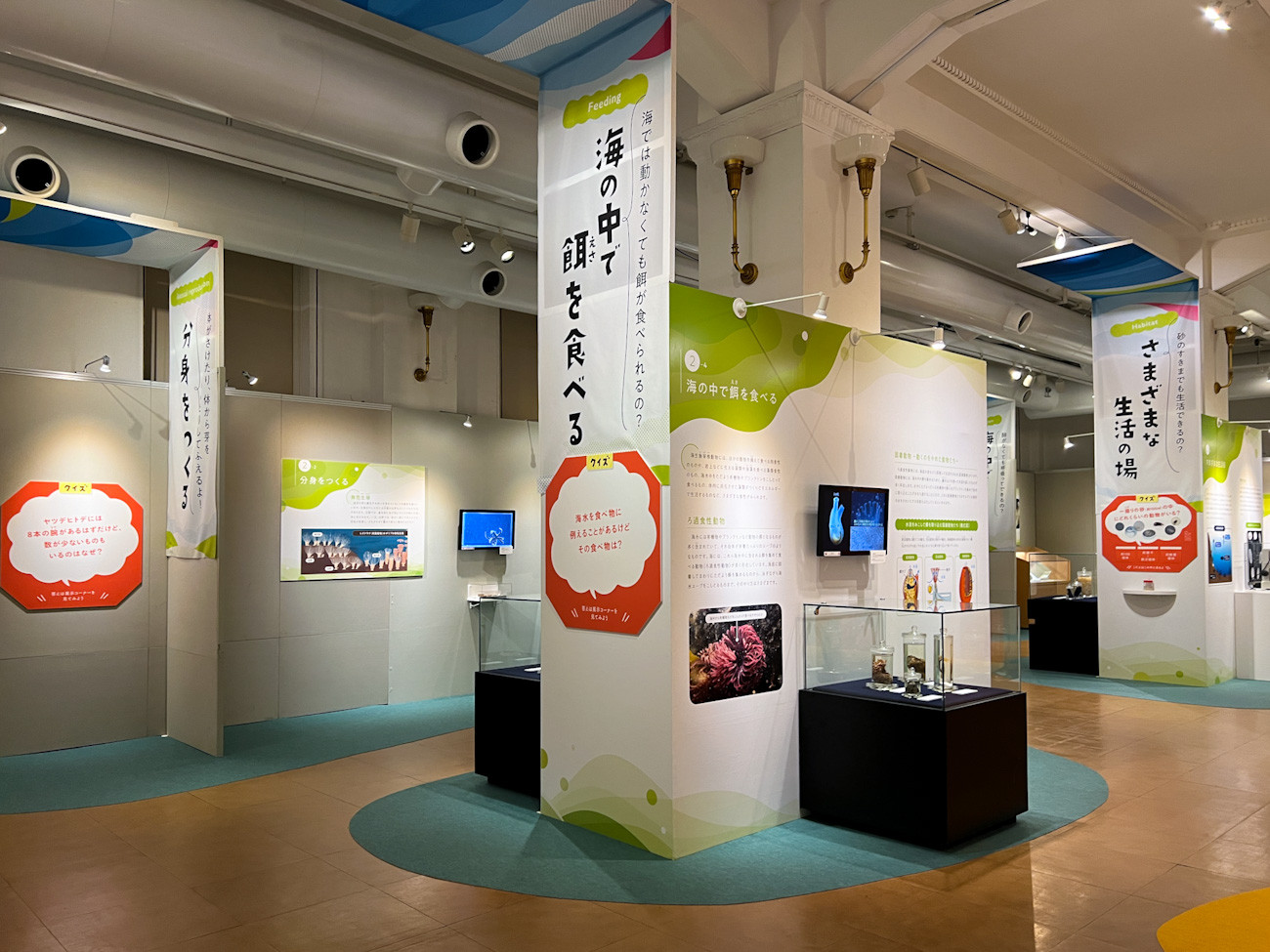  国立科学博物館 日本館1階 企画展「知られざる海生無脊椎動物の世界」会場