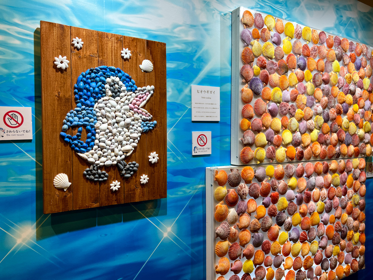 しながわ水族館「カイつまんで、ヒモときます。 ~しな水の貝展~」会場