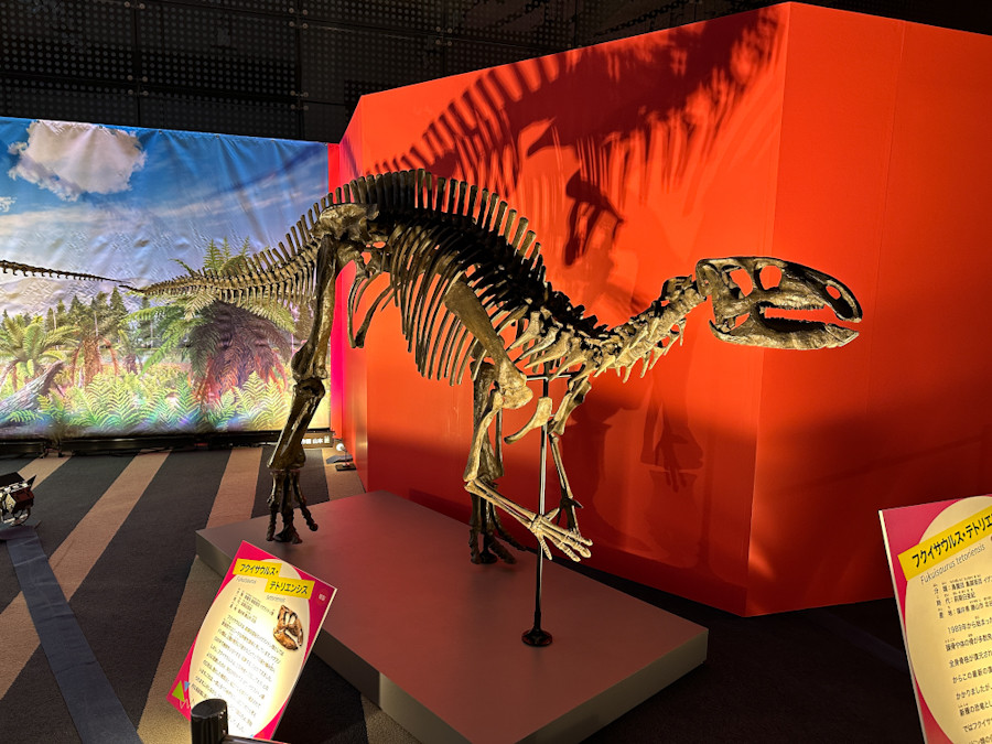 フジテレビ「オダイバ恐竜博覧会2024」会場