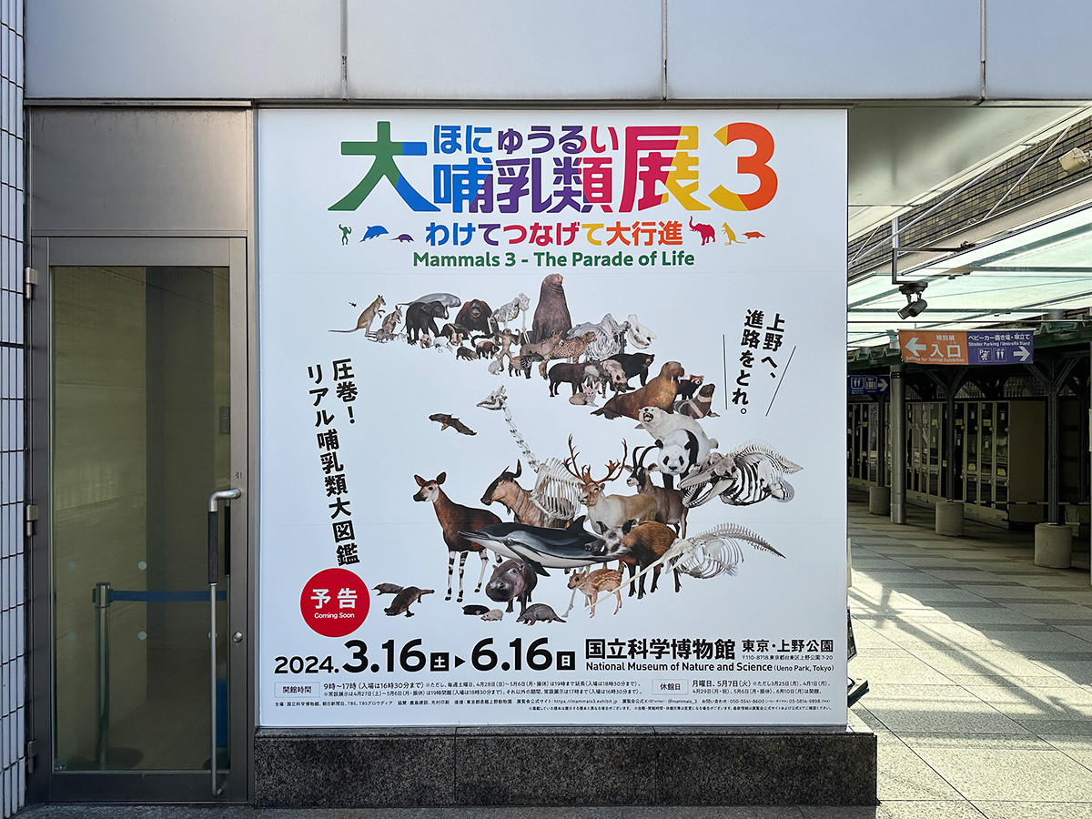 国立科学博物館「大哺乳類展３－わけてつなげて大行進」会場入口