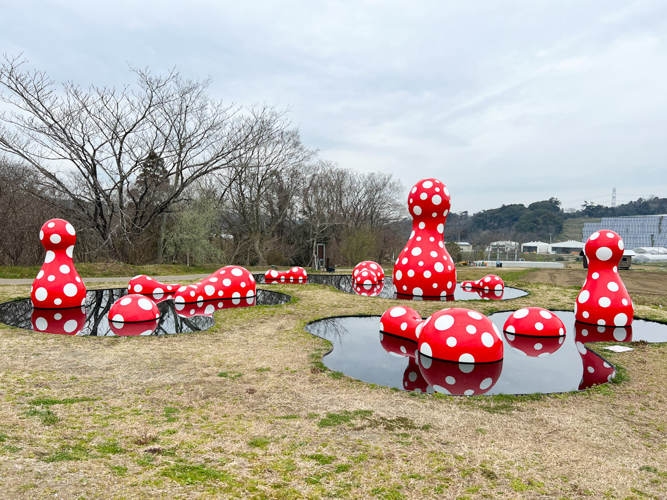 「百年後芸術祭〜環境と欲望〜内房総アートフェス」会場