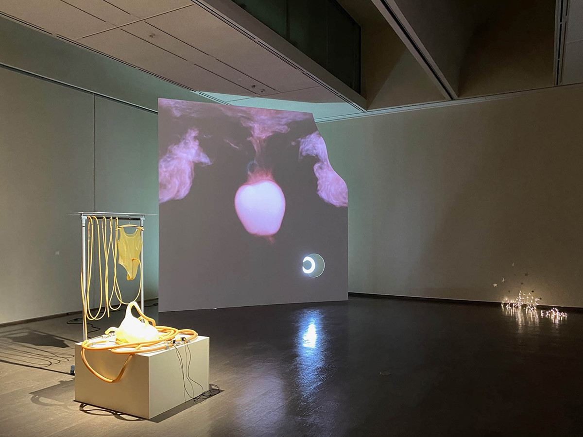 岐阜県美術館「クロスアート4 ビロンギング」会場