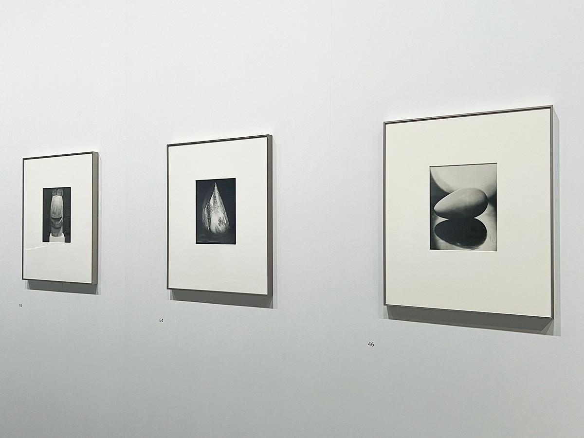 アーティゾン美術館「ブランクーシ 本質を象(かたど)る」 06「カメラ」