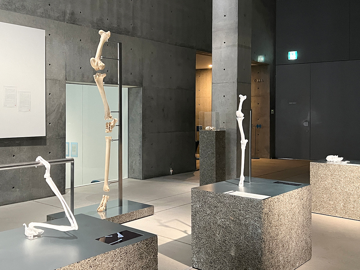 21_21 DESIGN SIGHT 企画展「未来のかけら: 科学とデザインの実験室」会場