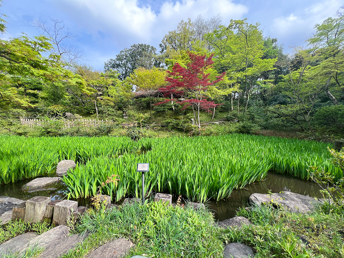 根津美術館 庭園