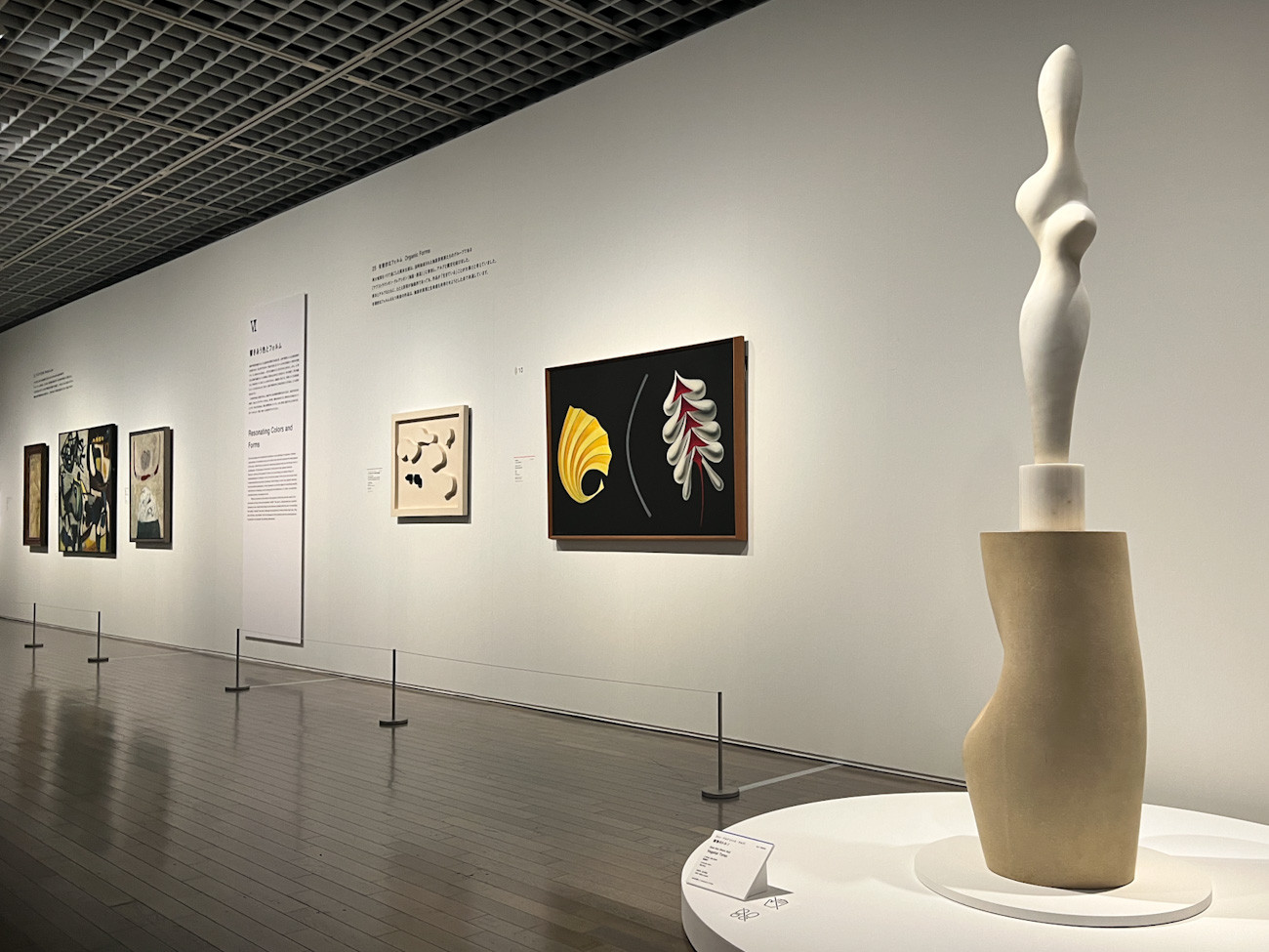 東京国立近代美術館「TRIO パリ・東京・大阪 モダンアート・コレクション」会場