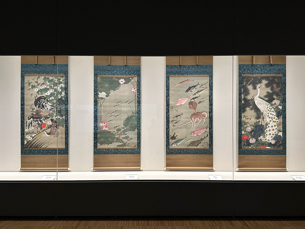 皇居三の丸尚蔵館収蔵「皇室のみやび―受け継ぐ美― 第4期 三の丸尚蔵館の名品」会場より 国宝《動植綵絵》(左から)《芙蓉双鶏図》《蓮池遊魚図》《諸魚図》《老松孔雀図》伊藤若沖 江戸時代 18世紀 皇居三の丸尚蔵館収蔵
