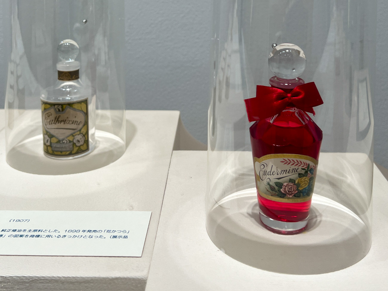 資生堂ギャラリー「オドル ココロ ー資生堂のクリエイティブワークー」会場