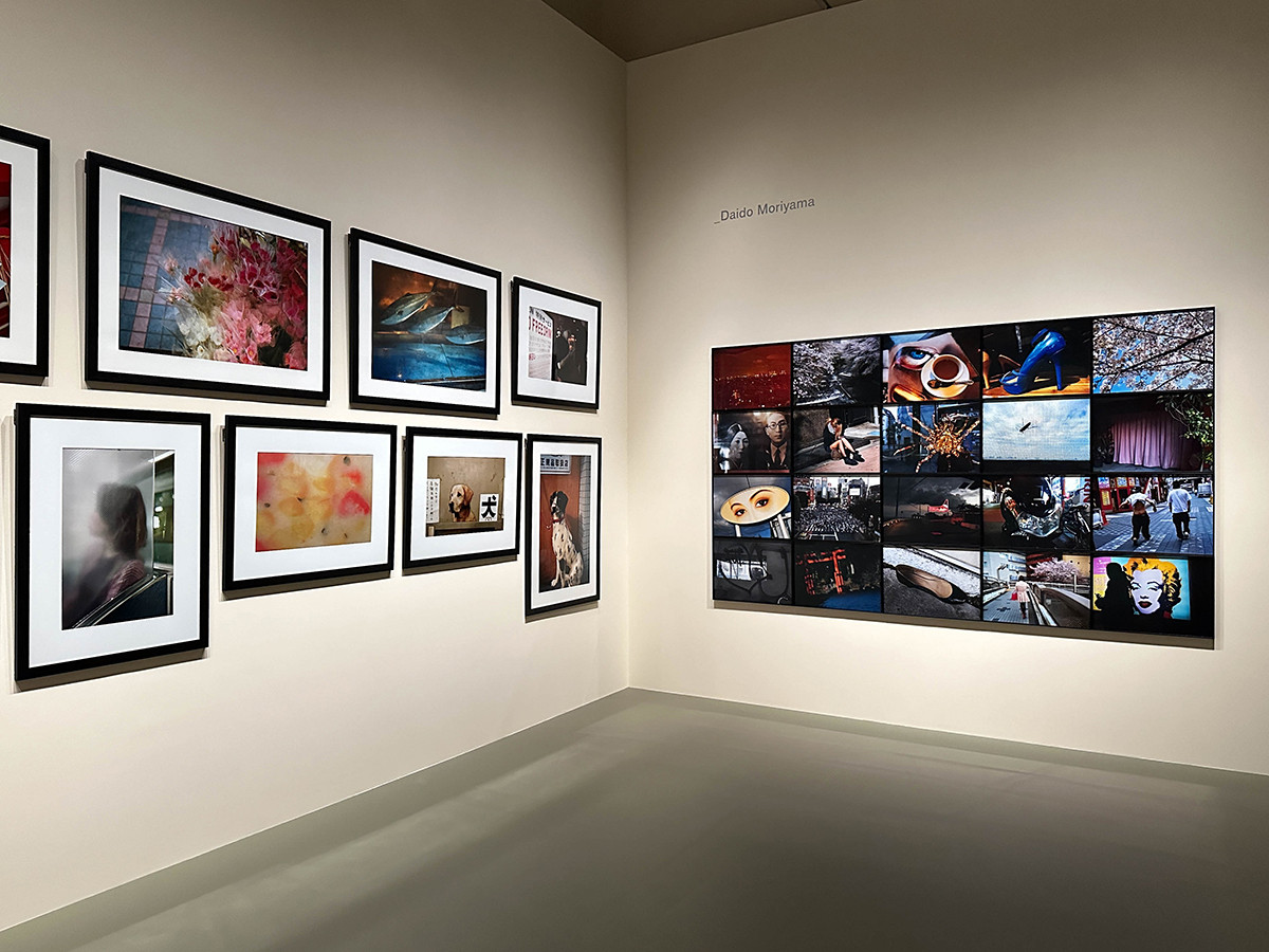 東京国立博物館 表慶館「カルティエと日本 半世紀のあゆみ 『結 MUSUBI』展 ― 美と芸術をめぐる対話」会場より