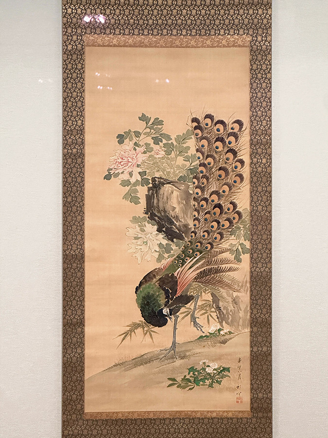 千葉市美術館「岡本秋暉　百花百鳥に挑んだ江戸の絵師 ― 摘水軒コレクションを中心に」会場より　岡本秋暉《孔雀図》天保2年（1831）8月　摘水軒記念文化振興財団［全期間展示］