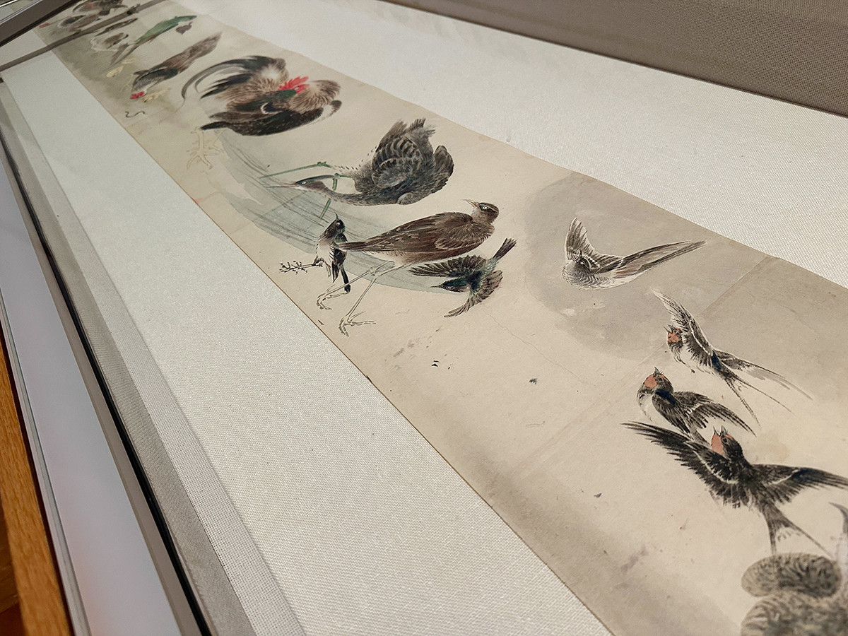 千葉市美術館「岡本秋暉　百花百鳥に挑んだ江戸の絵師 ― 摘水軒コレクションを中心に」会場より　岡本秋暉《鳥類写生図巻》江戸時代（19世紀）東京国立博物館［会期中場面替］