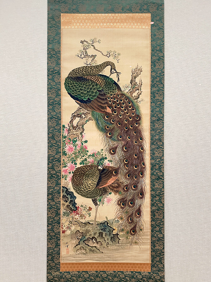 千葉市美術館「岡本秋暉　百花百鳥に挑んだ江戸の絵師 ― 摘水軒コレクションを中心に」会場より　岡本秋暉《孔雀図》嘉永6年（1853）個人蔵［全期間展示］